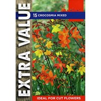 Taylors Bulbs Crocosmia Mixed (20 Pack) (ESV510)