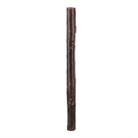 Gardman Spiral Tree Guard (10503)