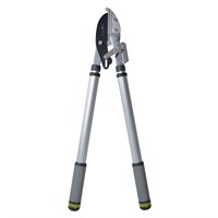 Burgon & Ball RHS Telescopic Ratchet Lopper (GTO/LOPRATCHET)