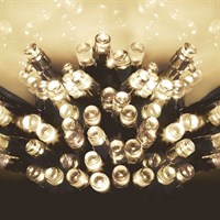 Premier 100 Warm White LED Battery Operated Christmas String Lights with Timer (LB112383WW)