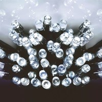 Premier 200 White LEDs with Timer (LB112384W) Battery Operated Christmas Lights