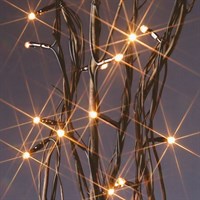 Premier 1.2m Black Twig with 80 Clear Rice Christmas Lights (LV081485)