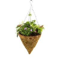 Hanging Seasonal Bedding Feather Moss Cone 12 Inches - Summer