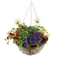 Hanging Basket Seasonal Bedding Designer Wicker Basket 14 Inches - Summer