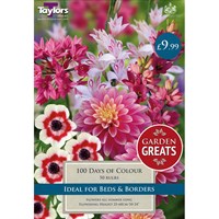 Taylors Bulbs 100 Days Of Colour Collection (50 Pack) (SV306)