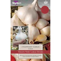 Taylors Bulbs Elephant Garlic - Pack of 2 (SVEG15)