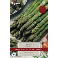 Taylors Bulbs Asparagus Gijnlim F1 (2 Pack) (SVEG8)