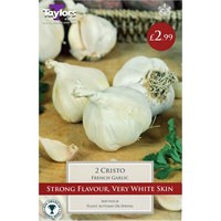 Taylors Bulbs French Garlic Cristo (2 Pack) (SVEG9A)
