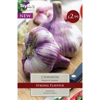 Taylors Bulbs French Garlic Edenrose (2 Pack) (SVEG9G)