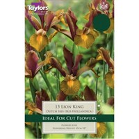 Taylors Bulbs Iris Lion King - Pack of 9 (TP786)