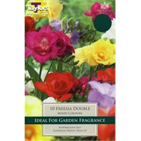 Taylors Bulbs Freesia Mixed Double (15 Pack) (TS675)