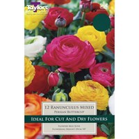 Taylors Bulbs Ranunculus Mixed (12 Pack) (TS787)