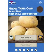 Taylors Bulbs Seed Potatoes Foremost (10 Pack) (VP408)