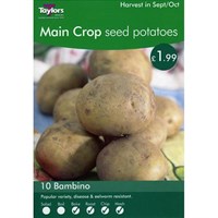 Taylors Bulbs Seed Potatoes Bambino (10 Pack) (VP468)