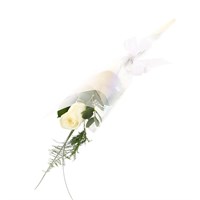 A Single Long Stem White Rose Valentine's Day