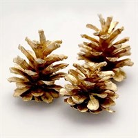 APAC 1kg Austriaca Gold Pine Cones (DF4006)