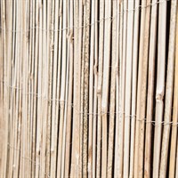 Apollo Half Bamboo Garden Screening 1.5 x 4m (76801)