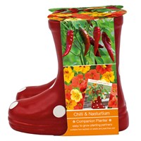 Bee Friends Chilli & Nasturtium Companion Grow Set Planter (018452)