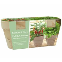 Bee Friends Fiery Flavours Chili & Coriander Grow Set Duo (151184)