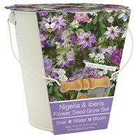 Bee Friends Nigella & Iberis Summer Grow Set Bucket (018456)