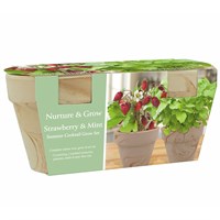 Bee Friends Summer Cocktail Strawberry & Mint Grow Set Duo (151182)