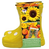 Bee Friends Sunflower & Marigold Companion Grow Set Planter (018450)