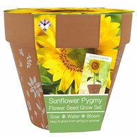 Bee Friends Sunflower Pygmy Grow Set Pot (018465)
