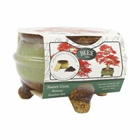BEES Bonsai Bowl with Legs - Sweet Gum (120601)