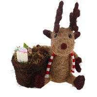 Christmas Festive Brown Reindeer With Pot Hyacinth Bulb Planter
