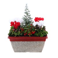 Christmas Festive Crackle Trough Bedding Arrangement