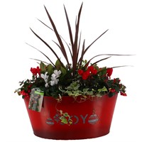 Christmas Festive Extra Large Red 'Joy' Metal Trough Bedding Planter