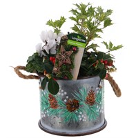 Christmas Festive Extra Small Metal Container - Pine Cones & Berries Design