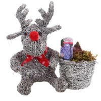 Christmas Festive Grey Reindeer With Pot Hyacinth Bulb Planter