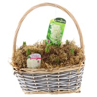 Christmas Festive Grey Wicker Rectangular Planted Hyacinth Bulb Basket