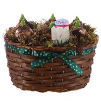 Christmas Festive Large Brown Hyacinth Bulb Basket With Bow