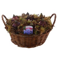 Christmas Festive Large Brown Hyacinth Bulb Basket
