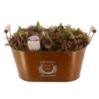 Christmas Festive Large Brown Hyacinth Bulb Bucket