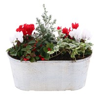 Christmas Festive Large Crackle Trough Bedding Arrangement