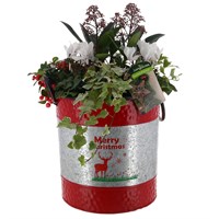 Christmas Festive Large Red & Silver Galvanised 'Merry Christmas' Bedding Planter