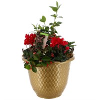 Christmas Festive Large Gold Metallic Teardrop Design Plastic Bedding Planter