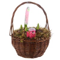 Christmas Festive Large Round Wicker Planted Hyacinth Bulb Basket