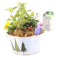 Christmas Festive Low Round Christmas Tree Design White Metal Bulb Bedding Planter