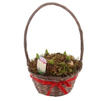 Christmas Festive Medium Brown Hyacinth Bulb Basket With Bow