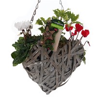 Christmas Festive Small Wicker Hanging Heart Bedding Basket Arrangement