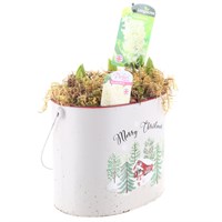 Christmas Festive Oval 'Merry Christmas' Medium Planted Hyacinth Bulb Container