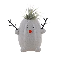 Christmas Festive Penguin with Air Plant Hair Houseplant