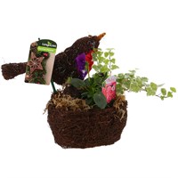 Christmas Festive Robin Bulb Bedding Planter