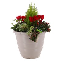 Christmas Festive White Large Plastic Bedding Planter