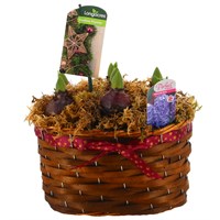 Christmas Festive Wicker Woven Medium Oval Basket Hyacinth Bulb Planter