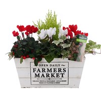 Christmas Festive Wooden 'Farmers Market' Design Trough Bedding Planter